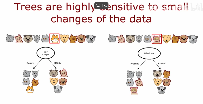 单棵决策树的不稳定性