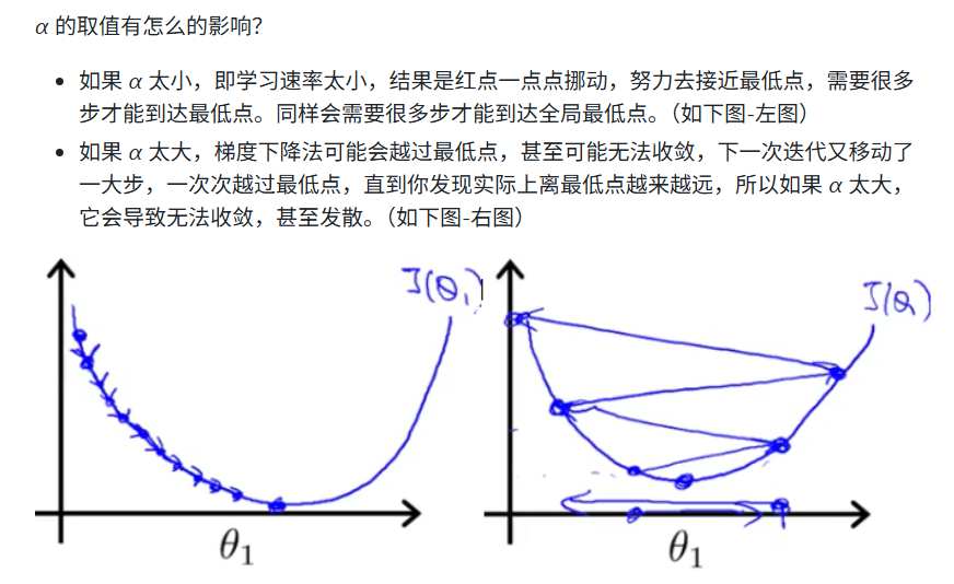 学习率大小的影响