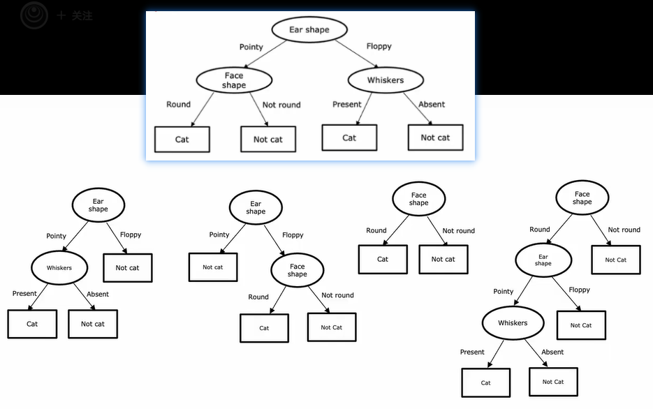 猫咪决策树